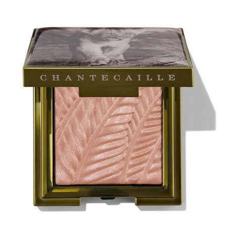 Chantecaille Eyeshadow.png